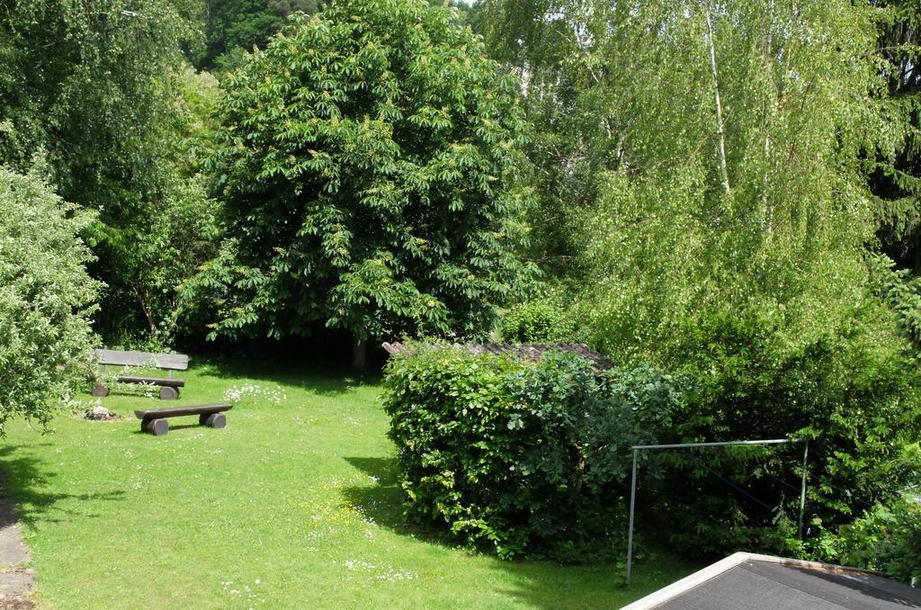 Schoene Aussicht Bad König Zewnętrze zdjęcie