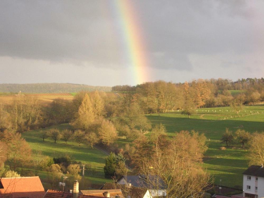Schoene Aussicht Bad König Zewnętrze zdjęcie